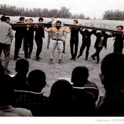 سیروس قهرمانی