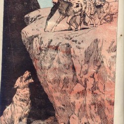 مجله ملانصرالدین - “Molla Nasreddin” Magazine (101)