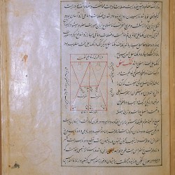 The Anatomy of the Human Body (1488), A diagram of the cranial sutures, drawn in red and black ink. - تشريح بدن انسان (۱۴۸۸ میلادی)، نمودار جمجمه