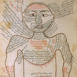 The Anatomy of the Human Body - تشريح بدن انسان