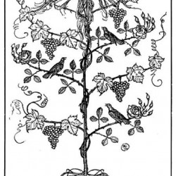 Edmund J Sullivan Illustrations to The Rubaiyat of Omar Khayyam (65)