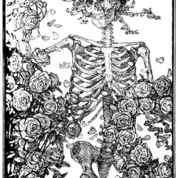 Edmund J Sullivan Illustrations to The Rubaiyat of Omar Khayyam (42)