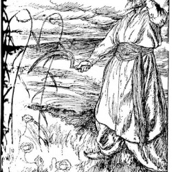 Edmund J Sullivan Illustrations to The Rubaiyat of Omar Khayyam (36)