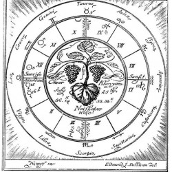 Edmund J Sullivan Illustrations to The Rubaiyat of Omar Khayyam (19)