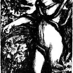 Edmund J Sullivan Illustrations to The Rubaiyat of Omar Khayyam (15)