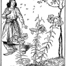 Edmund J Sullivan Illustrations to The Rubaiyat of Omar Khayyam (6)