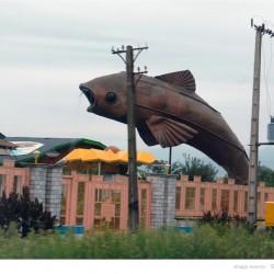 جاده کناره، ۱۳۸۵ - Road to Kenareh, 2006