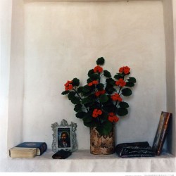 Decorated Niches - بر تاقچه ها