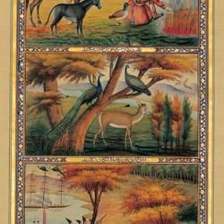 Sani al-Molk’s One thousand and One nights