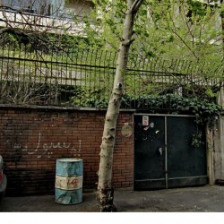 Walking in Tehran’s Amirabad - پرسه در امیرآباد (3)