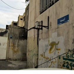 Walking in Tehran’s Amirabad - پرسه در امیرآباد (7)