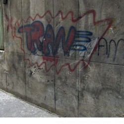 Walking in Tehran’s Amirabad - پرسه در امیرآباد (9)