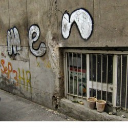 Walking in Tehran’s Amirabad - پرسه در امیرآباد (11)