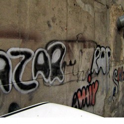 Walking in Tehran’s Amirabad - پرسه در امیرآباد (13)