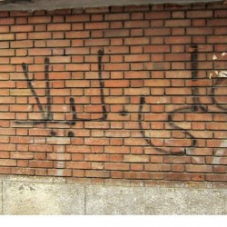 Walking in Tehran’s Amirabad - پرسه در امیرآباد (21)