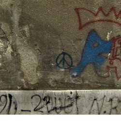 Walking in Tehran’s Amirabad - پرسه در امیرآباد (26)