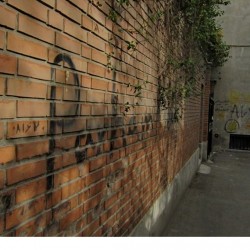 Walking in Tehran’s Amirabad - پرسه در امیرآباد (27)