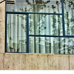 Walking in Tehran’s Amirabad - پرسه در امیرآباد (32)