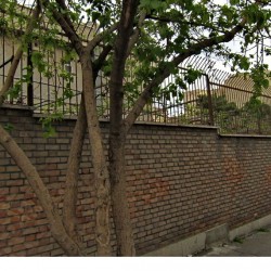 Walking in Tehran’s Amirabad - پرسه در امیرآباد (39)