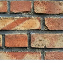 Walking in Tehran’s Amirabad - پرسه در امیرآباد (40)