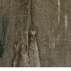 Walking in Tehran’s Amirabad - پرسه در امیرآباد (42)