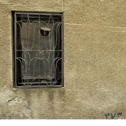 Walking in Tehran’s Amirabad - پرسه در امیرآباد (66)