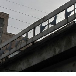 Walking in Tehran’s Amirabad - پرسه در امیرآباد (86)