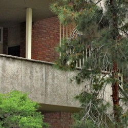 Walking in Tehran’s Amirabad - پرسه در امیرآباد (88)