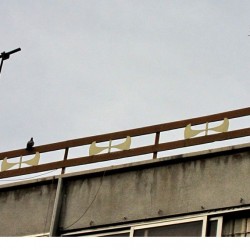 Walking in Tehran’s Amirabad - پرسه در امیرآباد (93)