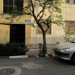 Walking in Tehran’s Amirabad - پرسه در امیرآباد (105)