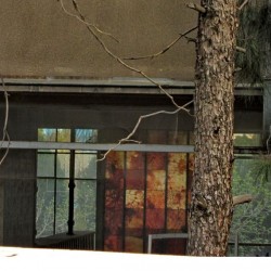 Walking in Tehran’s Amirabad - پرسه در امیرآباد (109)