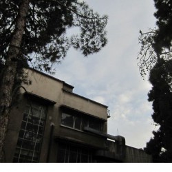 Walking in Tehran’s Amirabad - پرسه در امیرآباد (110)