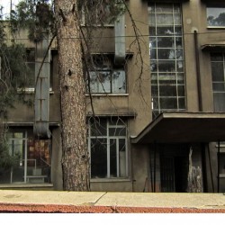 Walking in Tehran’s Amirabad - پرسه در امیرآباد (111)