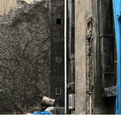 Walking in Tehran’s Amirabad - پرسه در امیرآباد (120)