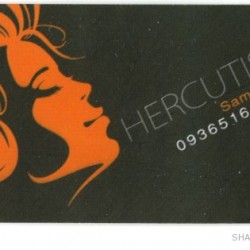 Iranian Business Card (3)