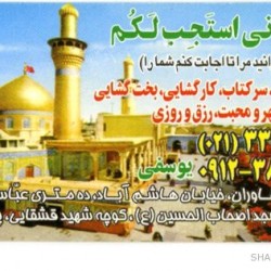 Iranian Business Card (17)
