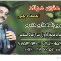 Iranian Business Card (20)