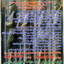 Iranian Business Card (21)