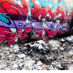 Graffiti on Tehran canal walls (6)