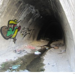 Graffiti on Tehran canal walls (12)