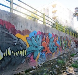 Graffiti on Tehran canal walls (17)