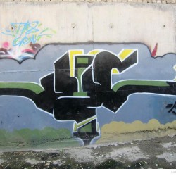 Graffiti on Tehran canal walls (19)