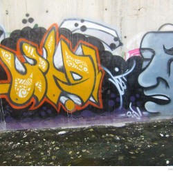 Graffiti on Tehran canal walls (25)