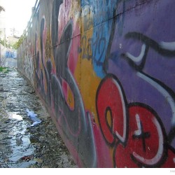 Graffiti on Tehran canal walls (30)