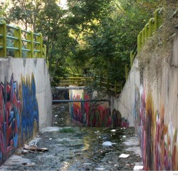 Graffiti on Tehran canal walls (32)