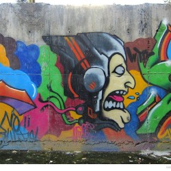 Graffiti on Tehran canal walls (37)