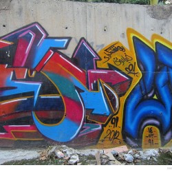 Graffiti on Tehran canal walls (39)