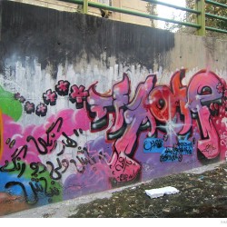 Graffiti on Tehran canal walls (40)