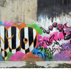 Graffiti on Tehran canal walls (41)