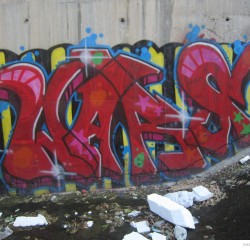 Graffiti on Tehran canal walls (45)